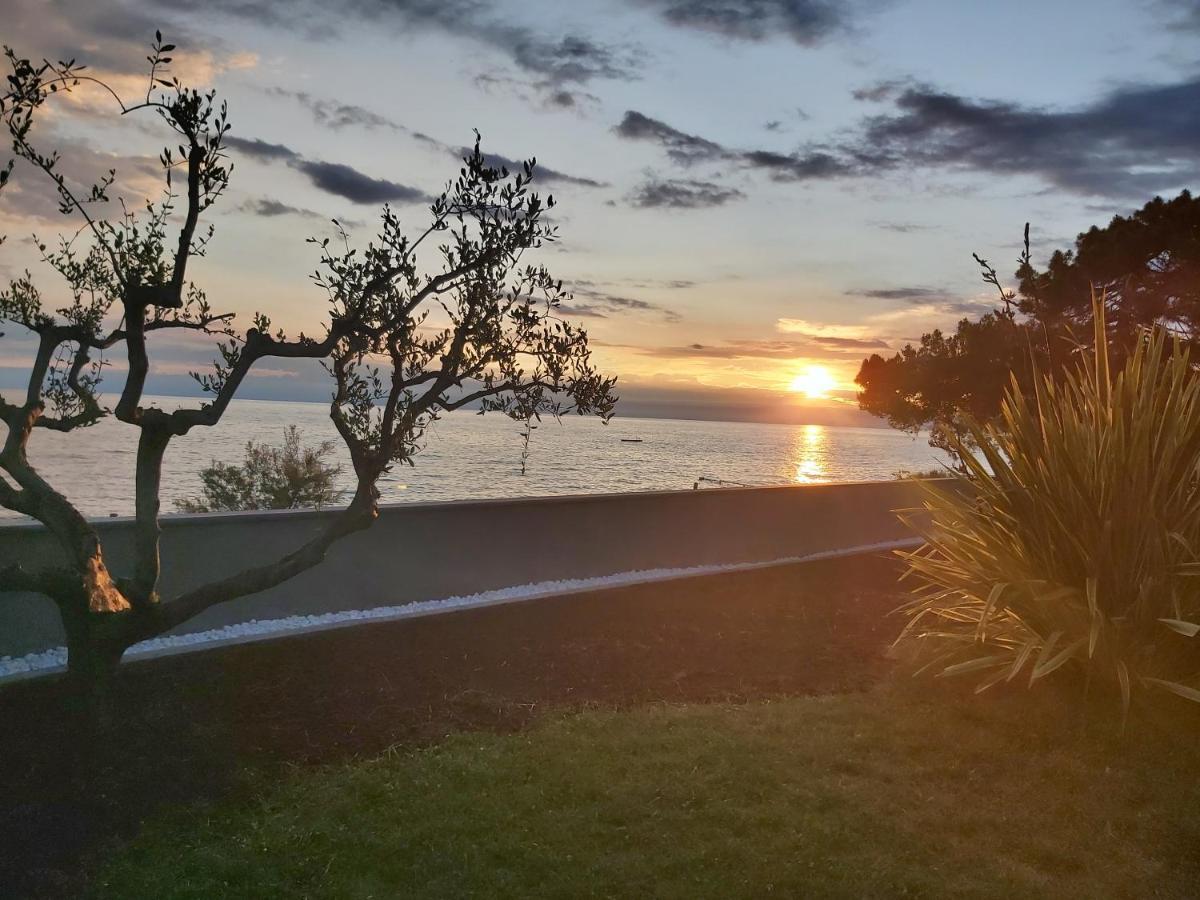 Villa Lucia Umag Bagian luar foto